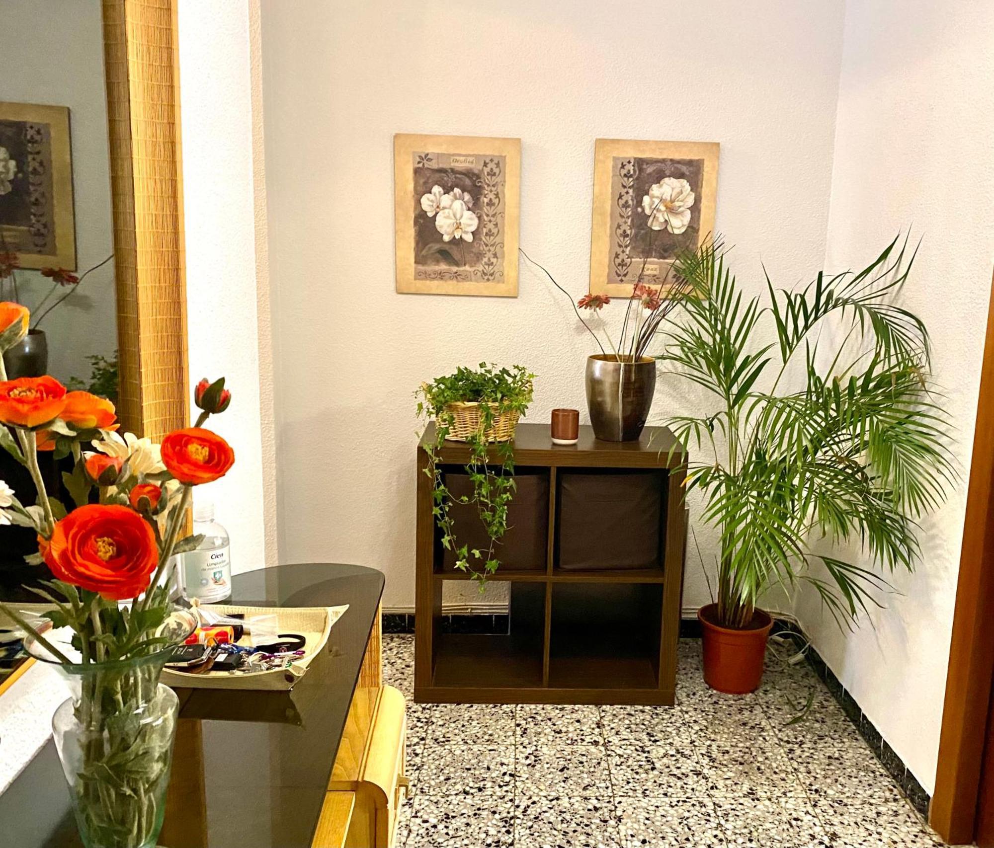 Habitacion My Home Alicante Extérieur photo